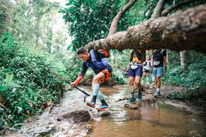 BIB: 
                            <button type="button" onclick="openModal(25375685)" class="btn btn-primary btn-sm float-right btn-popup" data-toggle="modal" data-target=".modal-high-quality">
                        <i class="fas fa-shopping-cart"></i> Add to Cart
                    </button>
                                            <button type="button" onclick="isThisMe(25375685, true)" class="btn btn-success btn-sm float-right btn-popup btn-isme hidden" data-toggle="tooltip" data-placement="bottom" title="นี่คือรูปของคุณใช่ไหม คลิกที่นี่เพื่อเอาเข้าอัลบั้ม">
                        <i class="fas fa-plus"></i> Add to album
                    </button>
                    <button type="button" onclick="isThisMe(25375685, false)" class="btn btn-warning btn-sm float-right btn-popup btn-isnotme hidden">
                        <i class="fas fa-ban"></i> Remove from album
                    </button>